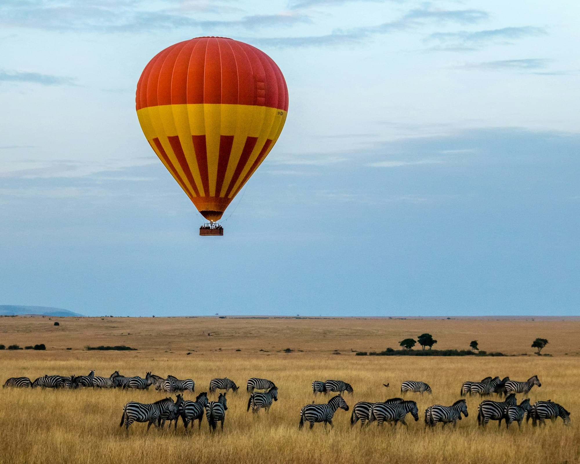Hot-air balloon drifting over savanna herds in the Masai Mara